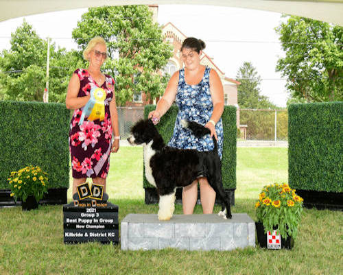 CHAMPION Drewsar DownEast 