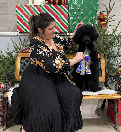 Drewsar Portuguese Water Dog News