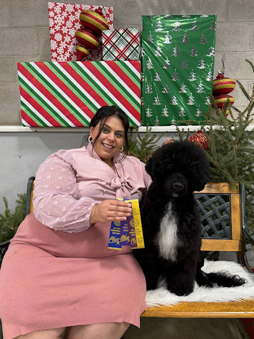 Drewsar Portuguese Water Dog News