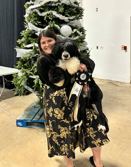 Drewsar Portuguese Water Dog News