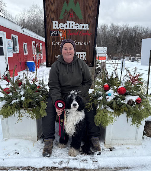 Drewsar Portuguese Water Dog News