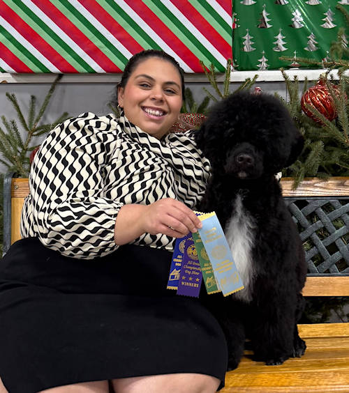 Drewsar Portuguese Water Dog News